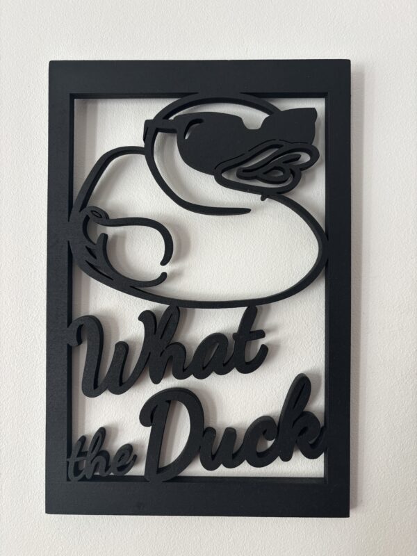 WTF What the duck