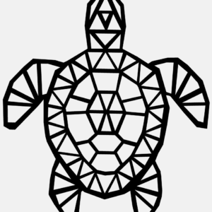 Cadre Déco en Bois - Origami Tortue